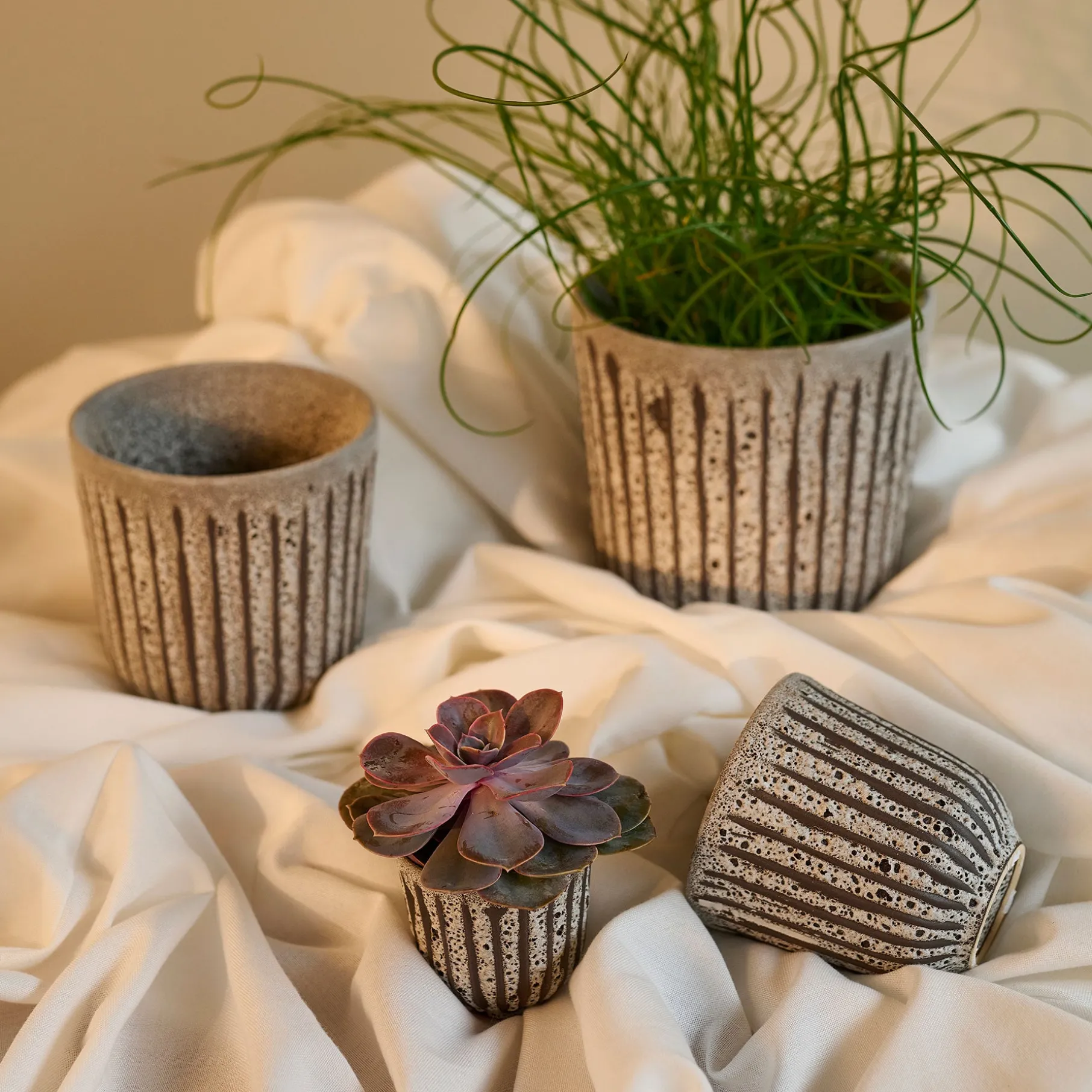 Arti Becky urtepotte