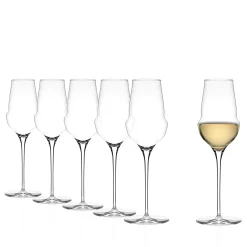 Cocoon champagneglas 340 ml 6 stk