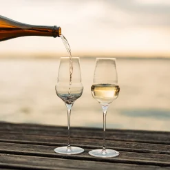 Cocoon champagneglas 340 ml 6 stk