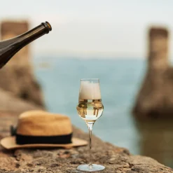 Cocoon champagneglas 340 ml 6 stk