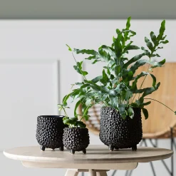 Dots stentøj urtepotte