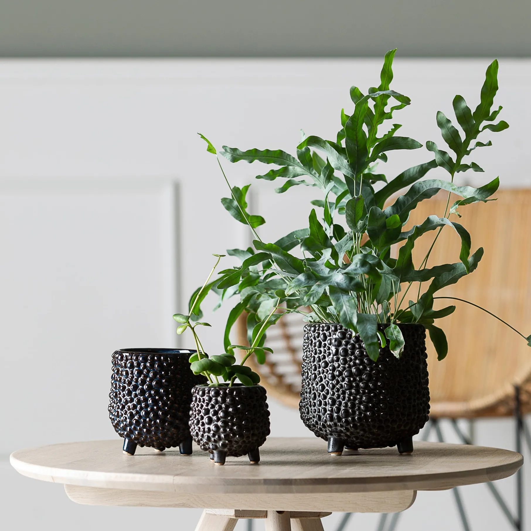 Dots stentøj urtepotte