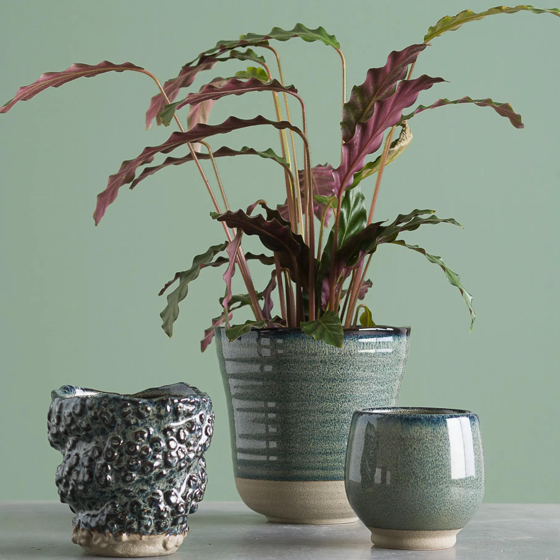 Dots stentøj urtepotte