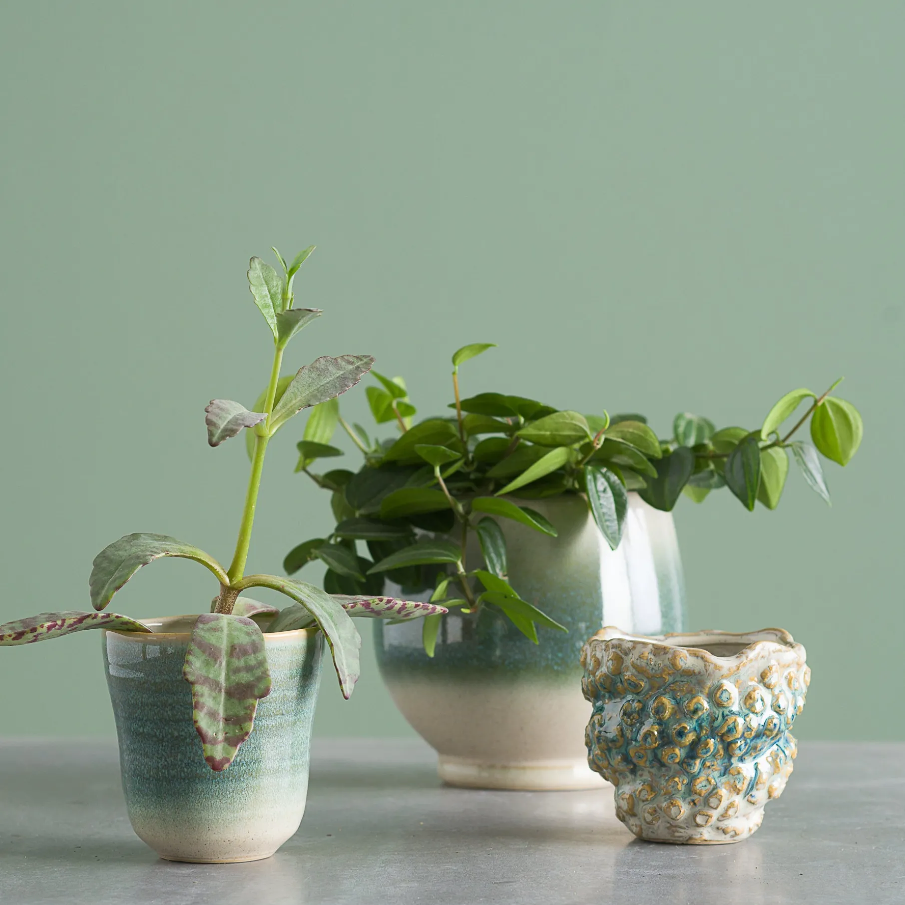 Dots stentøj urtepotte