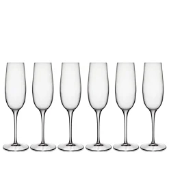 Palace champagneglas 6 stk