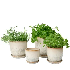 Pio II Ø14 cm underskål