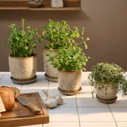 Pio II Ø17 cm underskål