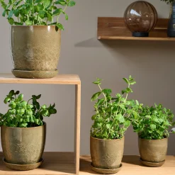 Pio II Ø12 cm underskål