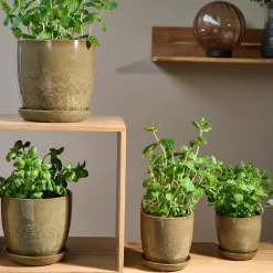 Pio II urtepotte Ø14 cm