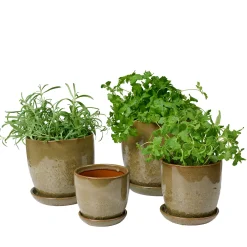 Pio II urtepotte Ø14 cm