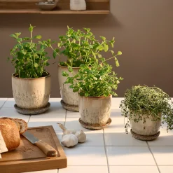 Pio II urtepotte Ø20,5 cm