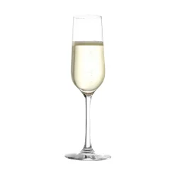 Revolution champagneglas 200 ml 6 stk