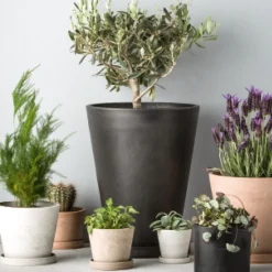 Scilla urtepotte H6,2 cm