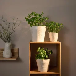 Sculpted urtepotte Ø12,5 cm