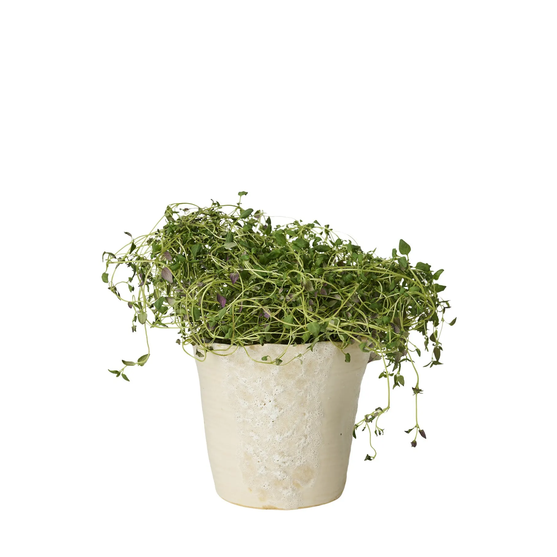 Sculpted urtepotte Ø12,5 cm