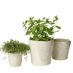 Sculpted urtepotte Ø19 cm