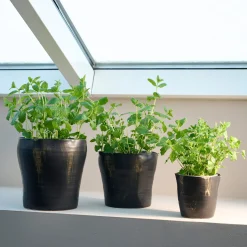 Sculpted urtepotte Ø17 cm