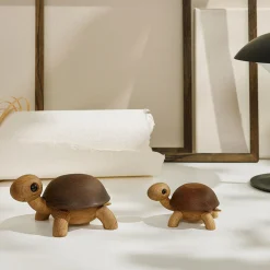 Speedy skildpaddeunge