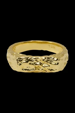 SRBlurry Signet Ring