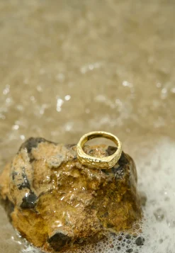 SRBlurry Signet Ring